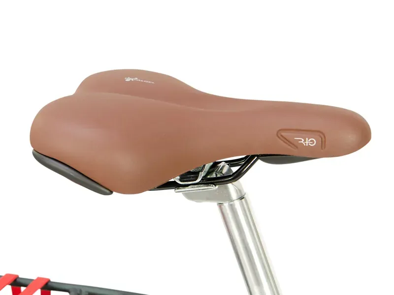 Raleigh Pioneer Trail Crossbar 27.5 Hybrid Bike Grey / Green-4