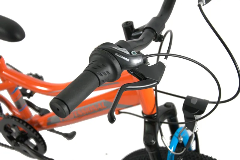 Professional Wave Rider 20 Inch Wheel Kids Bike Orange/Blue-5