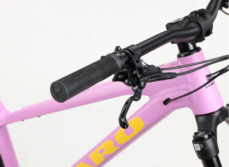 Haro Saguaro 2 29er Mountain Bike Matte Mauve-11