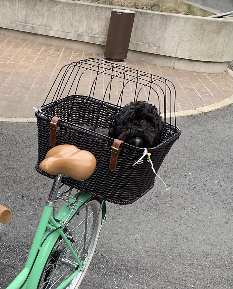 Ammaco Polyrattan Pet Carrier Large Basket-8