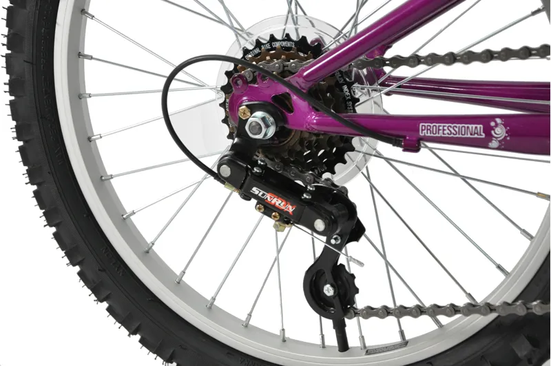 Professional Diva 20 Inch Wheel Kids Bike Purple-2