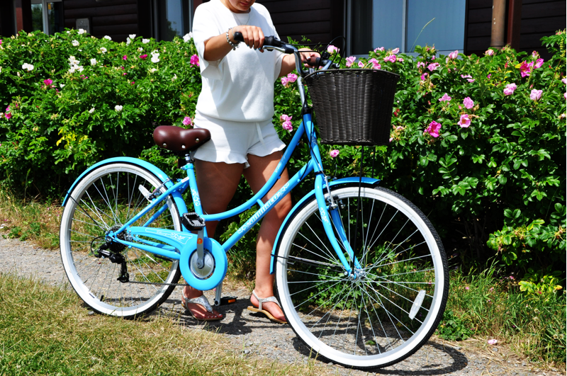 Ammaco Classique 26 Inch Dutch Lifestyle Bike Blue-12