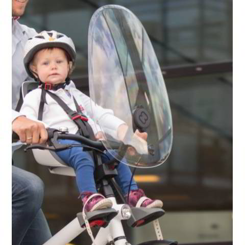 Kids Bike Seat Accessories