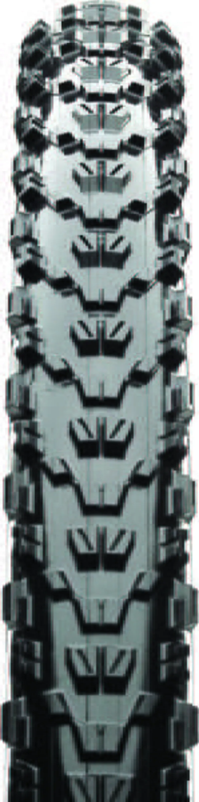 TYRE Maxxis Ardent 29 x 2.4 TR Tan Brown-1